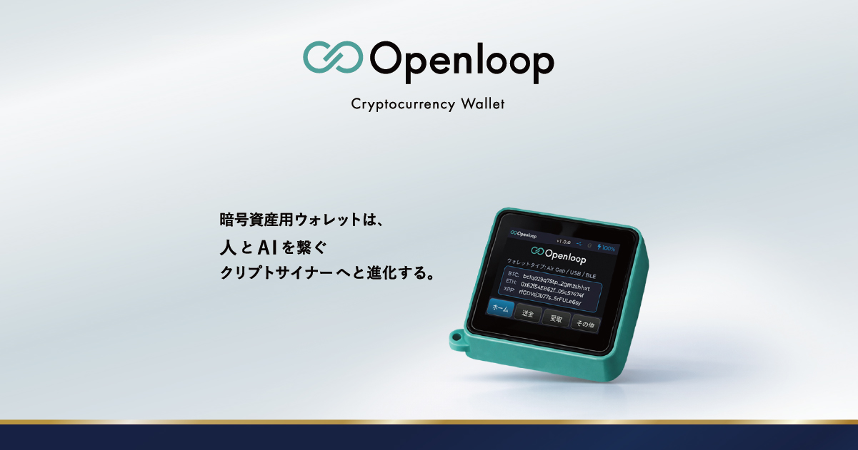 Developer Interview | Openloop by Haudi Crypto
